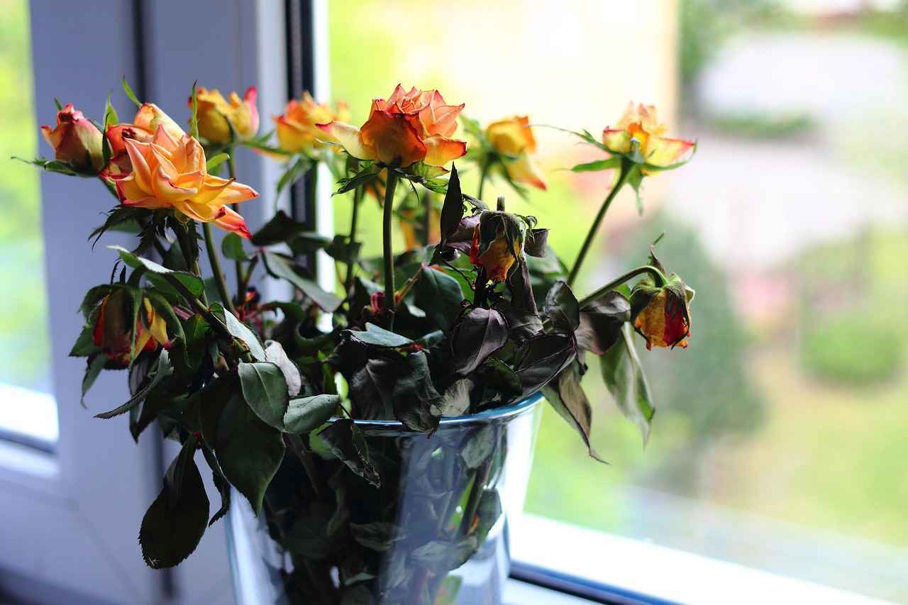 ¿Cómo se pueden buscar esquelas antiguas en Santa Cruz de Tenerife?