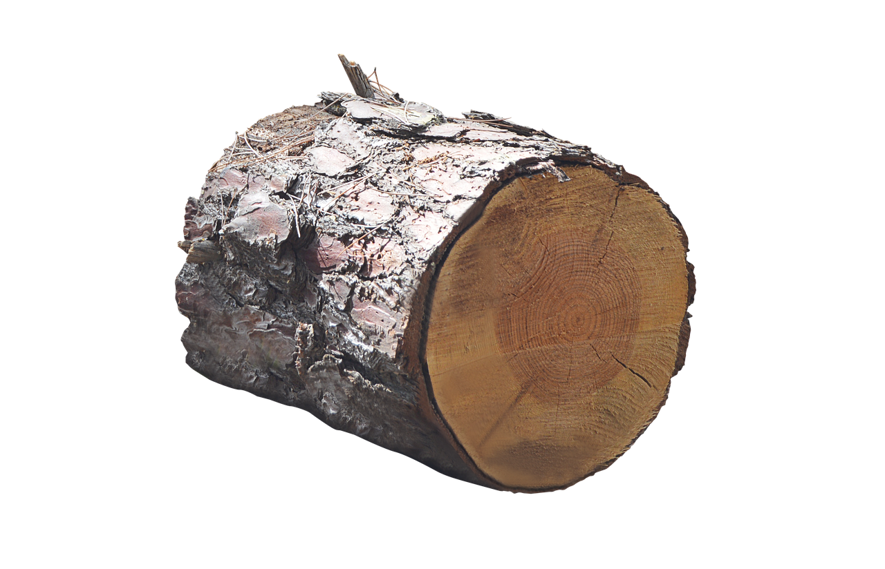 Leña – Qué tener en cuenta al comprar leña para encender tu chimenea este invierno 14 ¿Cuáles son los mitos comunes sobre la leña?