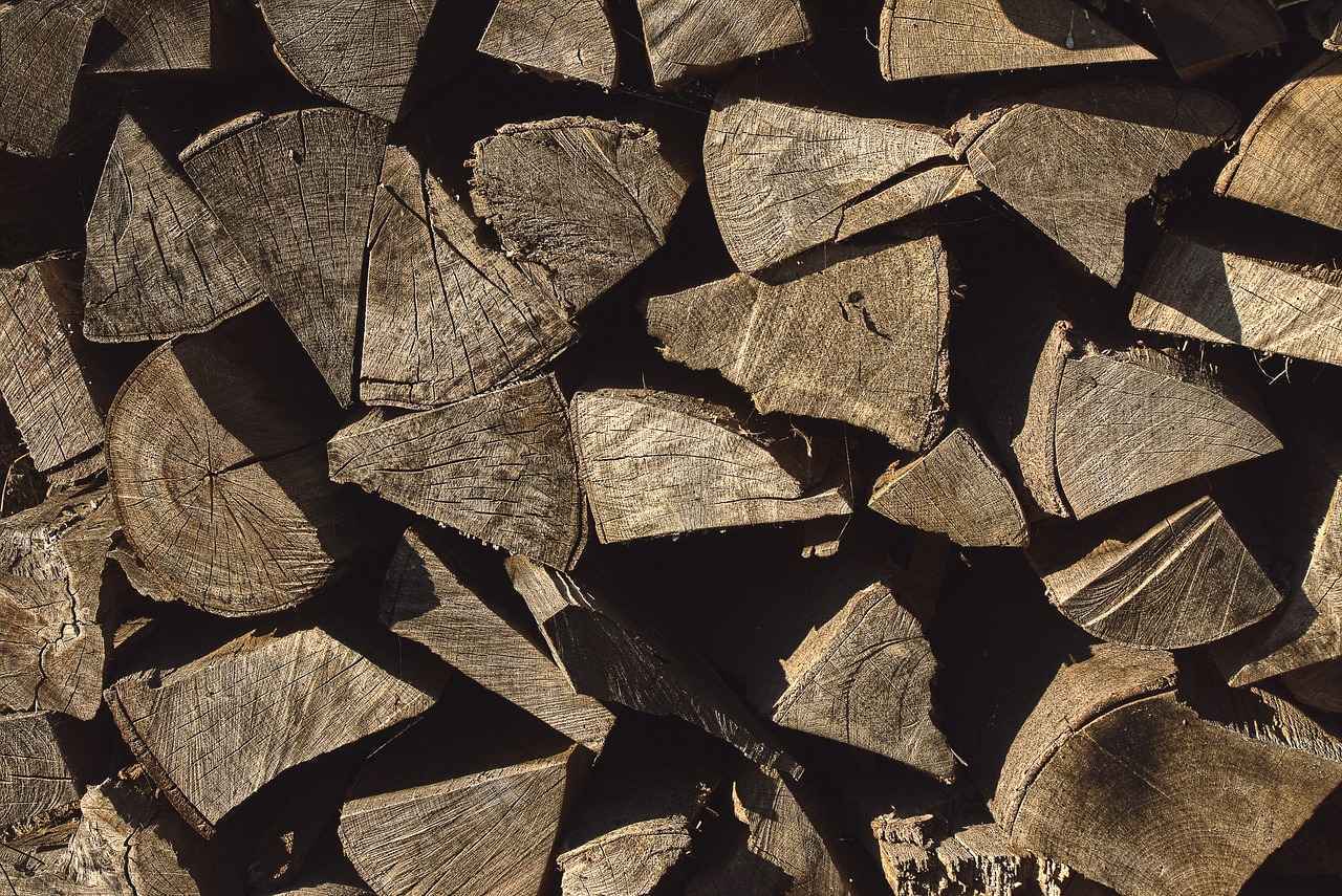 Leña – Qué tener en cuenta al comprar leña para encender tu chimenea este invierno 15 ¿Qué efectos tiene la leña en el medio ambiente?