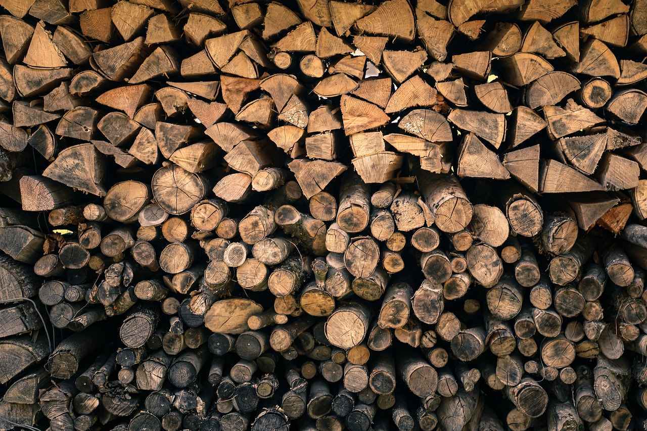 Leña – Qué tener en cuenta al comprar leña para encender tu chimenea este invierno 8 ¿Qué hacer si la leña no arde bien?