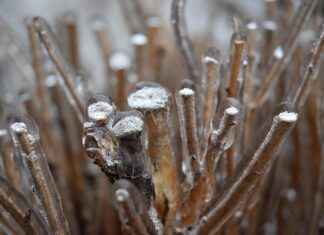 geliner – Los mejores consejos para aplicar geliner y lograr una mirada perfecta geliner – Los mejores consejos para aplicar geliner y lograr una mirada perfecta