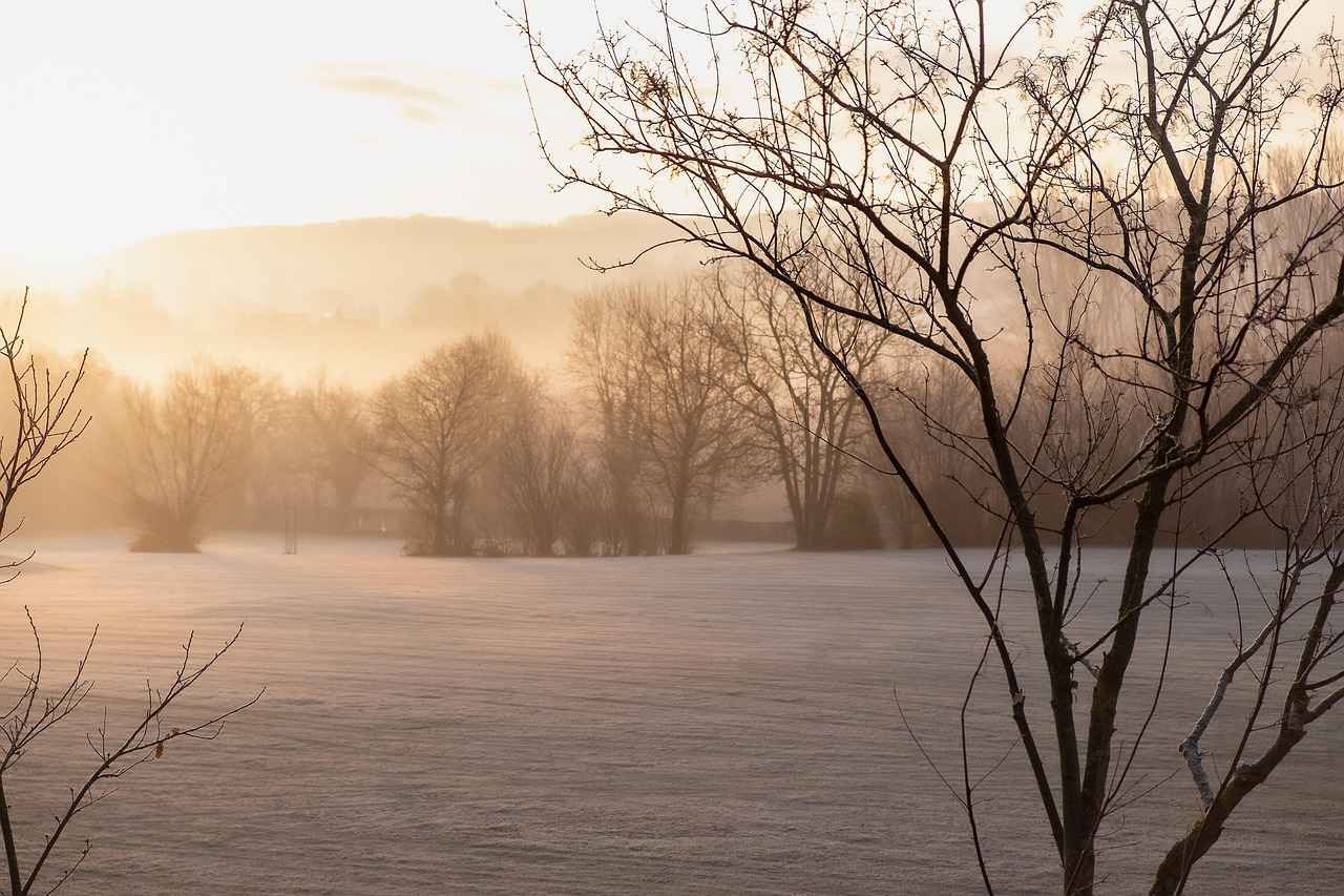 ¿Cómo elegir el geliner adecuado para ti?