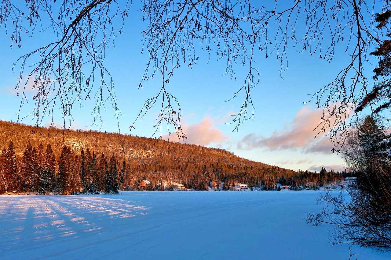 ¿Qué tendencias actuales en geliner deberías conocer?
