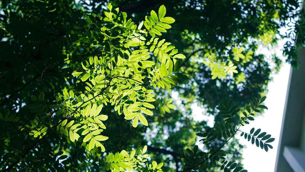 horquillas – Cómo elegir las mejores horquillas para tu peinado y estilo personal 4 ¿Qué consideraciones tener en cuenta al comprar horquillas?