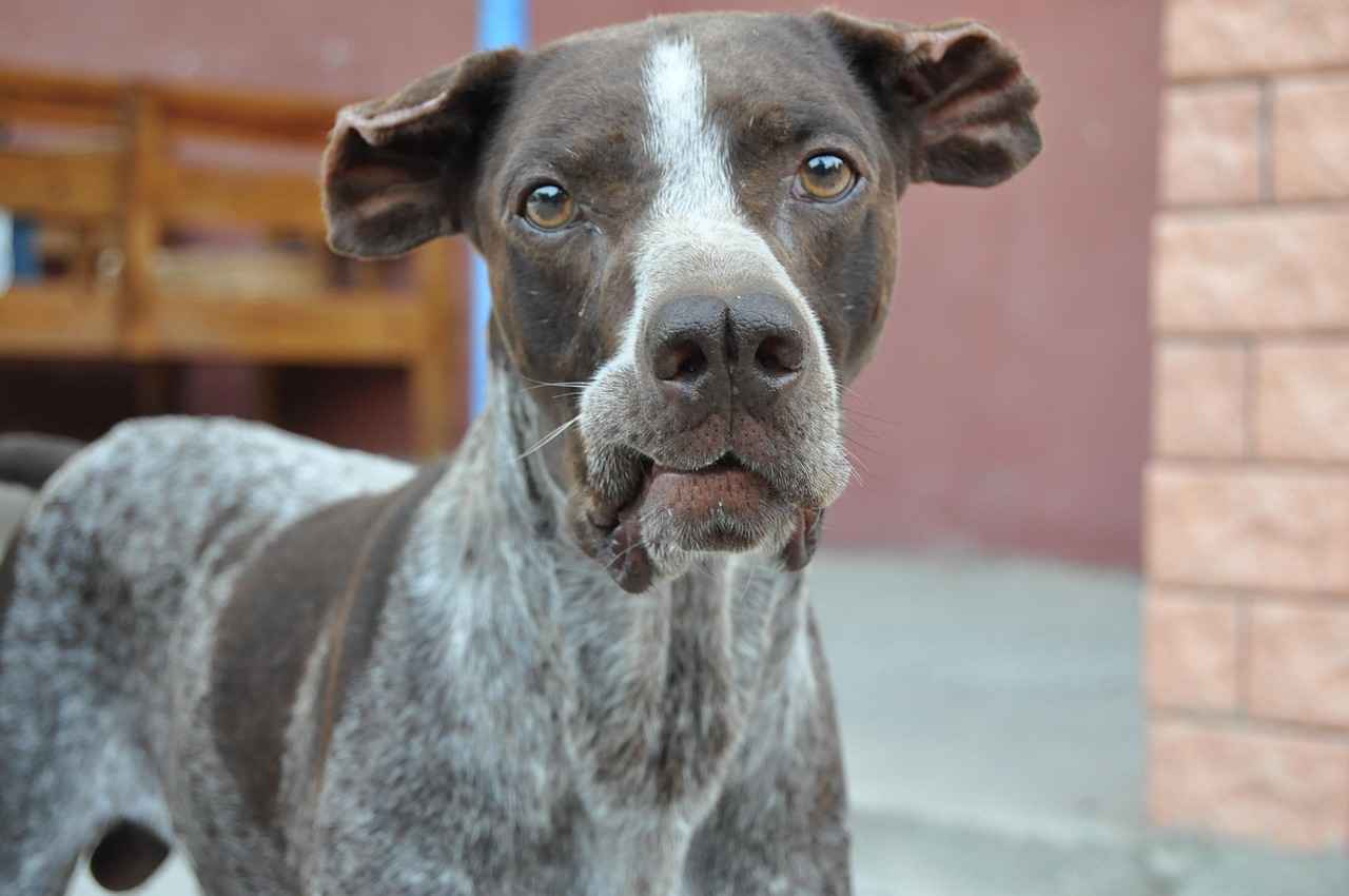 horquillas – Cómo elegir las mejores horquillas para tu peinado y estilo personal 11 ¿Cuáles son los errores comunes al usar horquillas y cómo evitarlos?