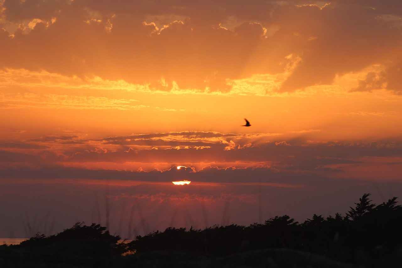 horquillas – Cómo elegir las mejores horquillas para tu peinado y estilo personal 13 ¿Qué tendencias actuales existen en horquillas y peinados?