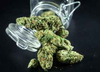 Qué significa esto para la economía nacional Qué significa esto para la economía nacional