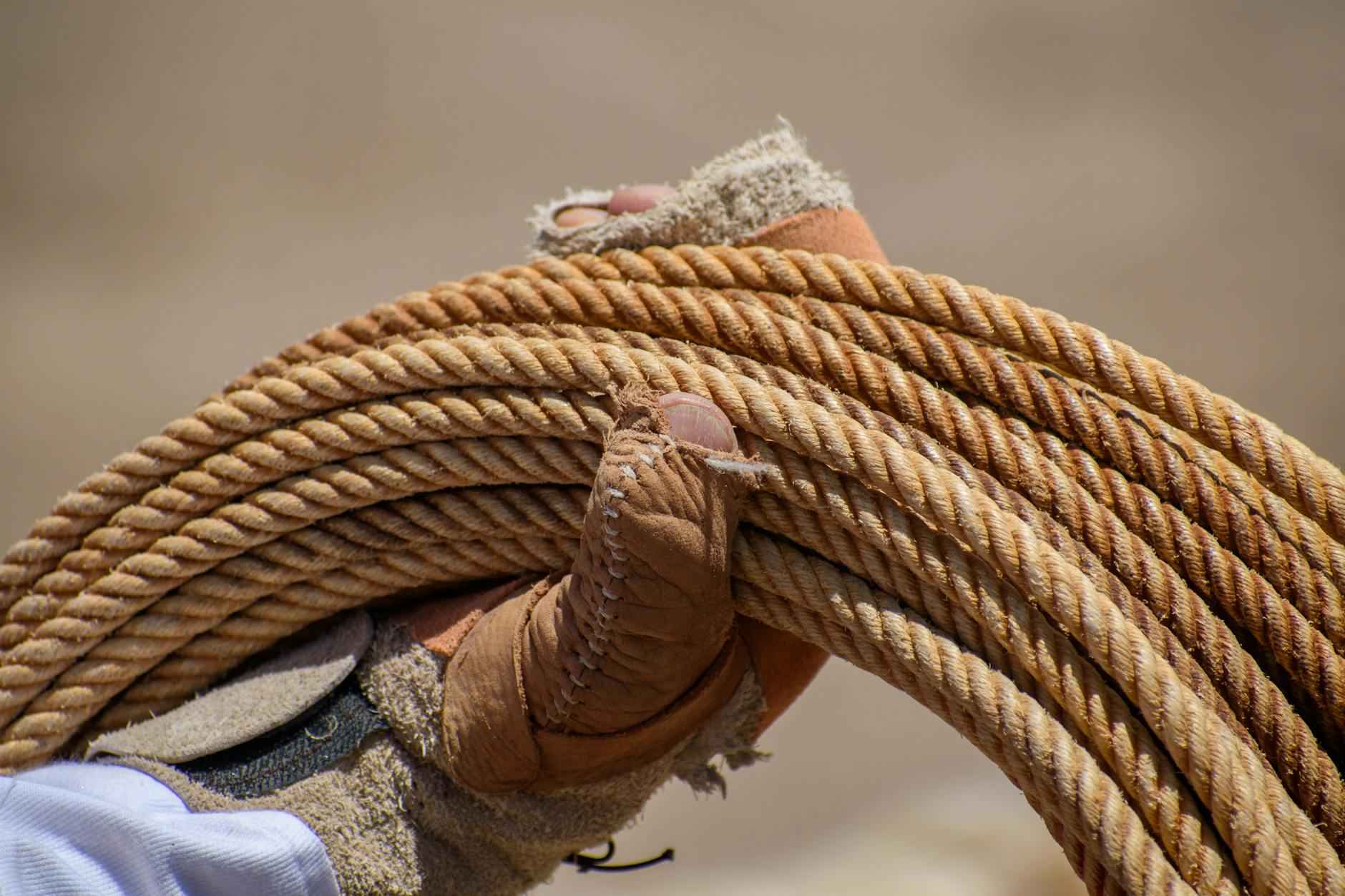 Historias de trabajadores: Testimonios desde la línea de frente