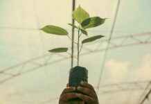 ¿Cuánto seguro de vida necesito? Calcula lo necesario según tu estilo de vida ¿Cuánto seguro de vida necesito? Calcula lo necesario según tu estilo de vida