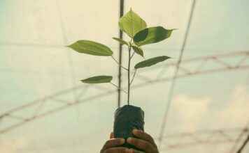 ¿Cuánto seguro de vida necesito? Calcula lo necesario según tu estilo de vida ¿Cuánto seguro de vida necesito? Calcula lo necesario según tu estilo de vida