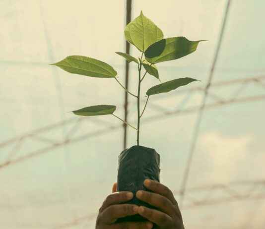 ¿Cuánto seguro de vida necesito? Calcula lo necesario según tu estilo de vida ¿Cuánto seguro de vida necesito? Calcula lo necesario según tu estilo de vida