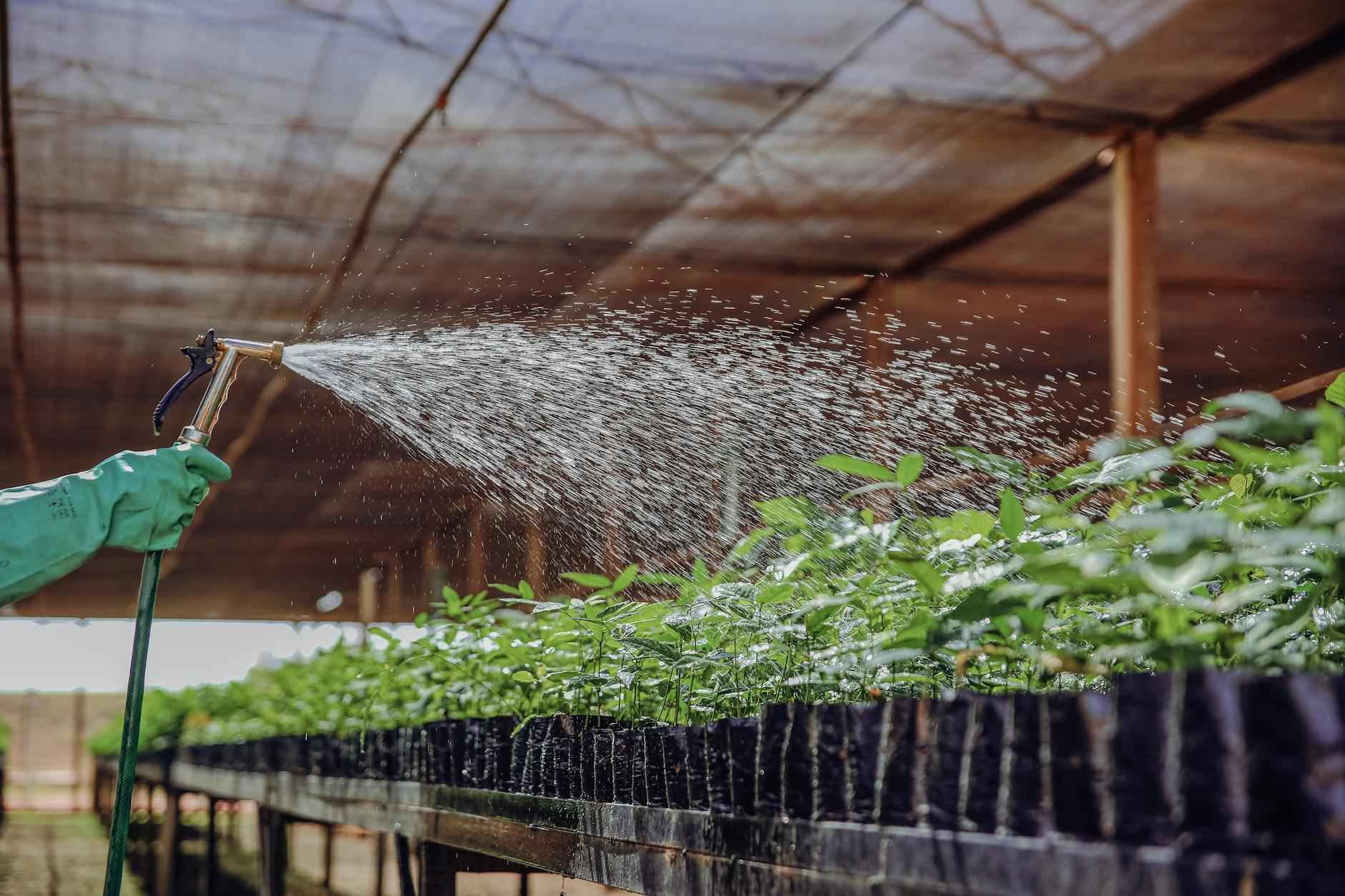 ¿Cuáles son los costos del seguro de vida?