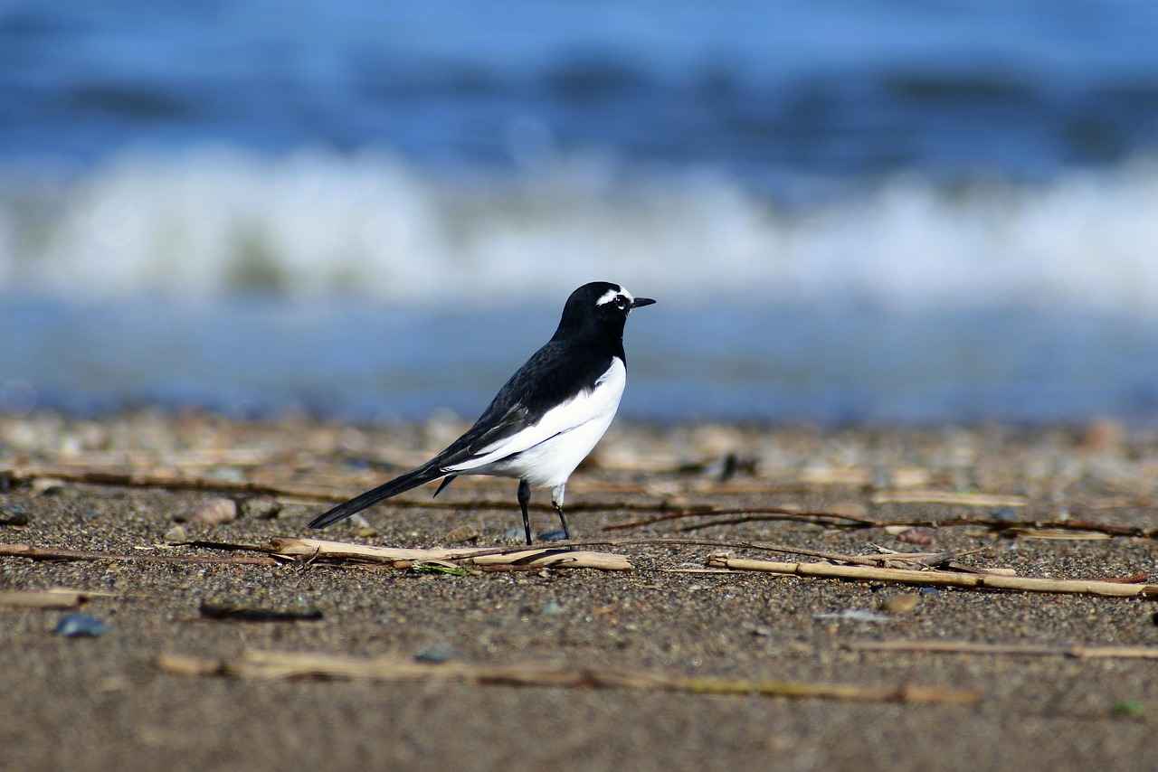 ¿Qué documentos necesitas para contratar un seguro de auto?