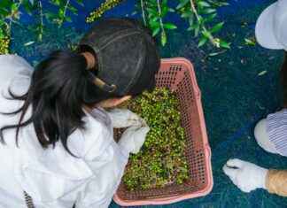 Pasos prácticos para manejar dilemas laborales Pasos prácticos para manejar dilemas laborales