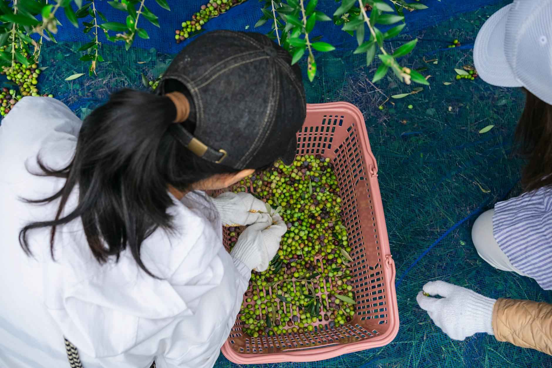 ¿Qué son los dilemas éticos en el trabajo?