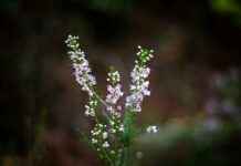 ¿Qué son los dilemas éticos? Ejemplos cotidianos y cómo resolverlos correctamente ¿Qué son los dilemas éticos? Ejemplos cotidianos y cómo resolverlos correctamente