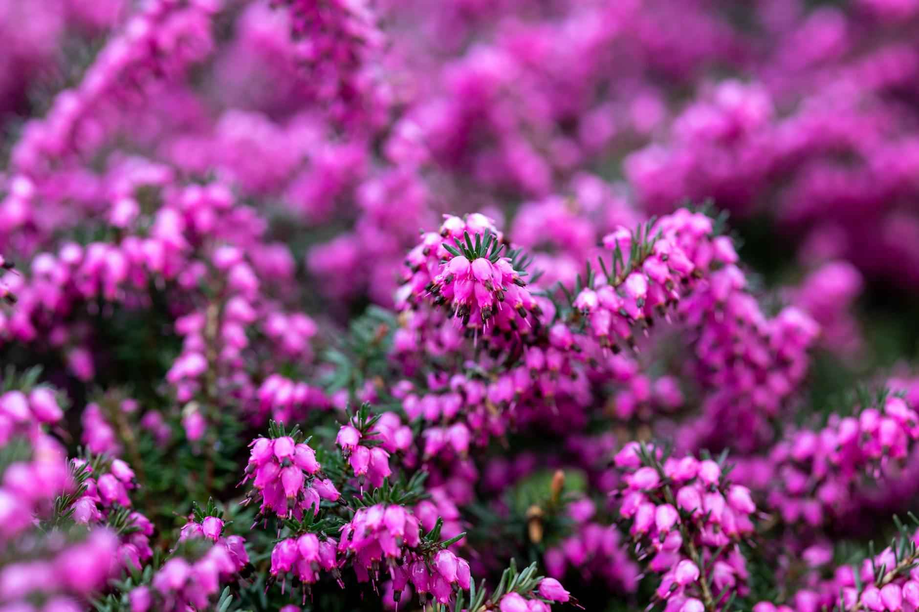 Modelos para la toma de decisiones éticas