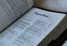 Cómo Escribir Correctamente: Reglas Básicas para Escribir Sin Errores Cómo Escribir Correctamente: Reglas Básicas para Escribir Sin Errores