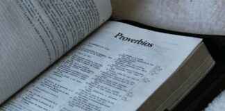 Cómo Escribir Correctamente: Reglas Básicas para Escribir Sin Errores Cómo Escribir Correctamente: Reglas Básicas para Escribir Sin Errores