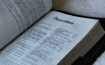 Cómo Escribir Correctamente: Reglas Básicas para Escribir Sin Errores Cómo Escribir Correctamente: Reglas Básicas para Escribir Sin Errores