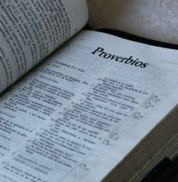 Cómo Escribir Correctamente: Reglas Básicas para Escribir Sin Errores Cómo Escribir Correctamente: Reglas Básicas para Escribir Sin Errores