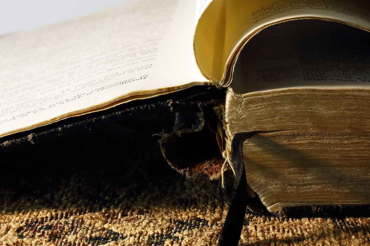 ¿Qué hacer con la retroalimentación recibida?