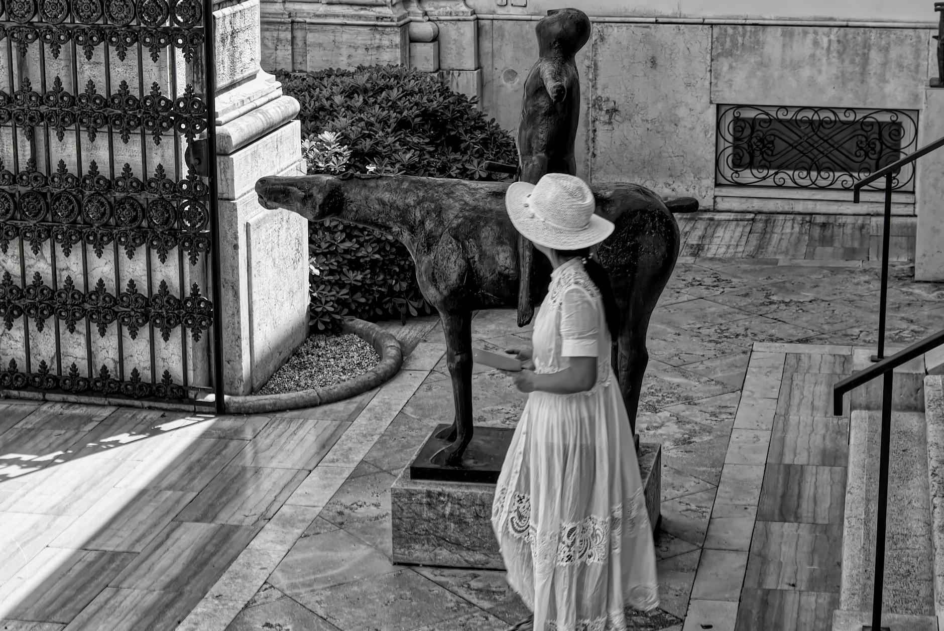 Recepción de retroalimentación y ajustes