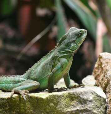 Los signos de puntuación – Guía completa para escribir de forma clara y precisa Los signos de puntuación – Guía completa para escribir de forma clara y precisa