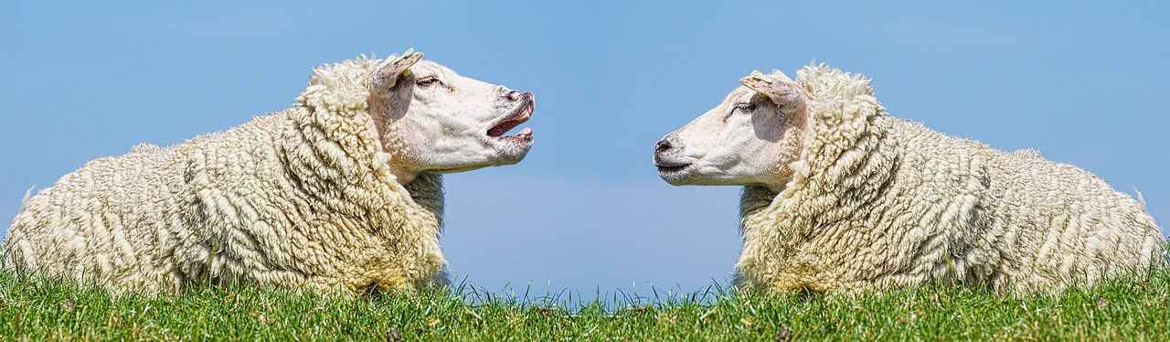 Entiende el ethos y su importancia en la comunicación efectiva 9 ¿Qué ejemplos de ethos podemos encontrar en la literatura?