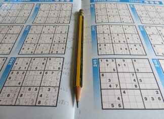 ¿Qué es una falacia de pista falsa en un ensayo? ¿Qué es una falacia de pista falsa en un ensayo?