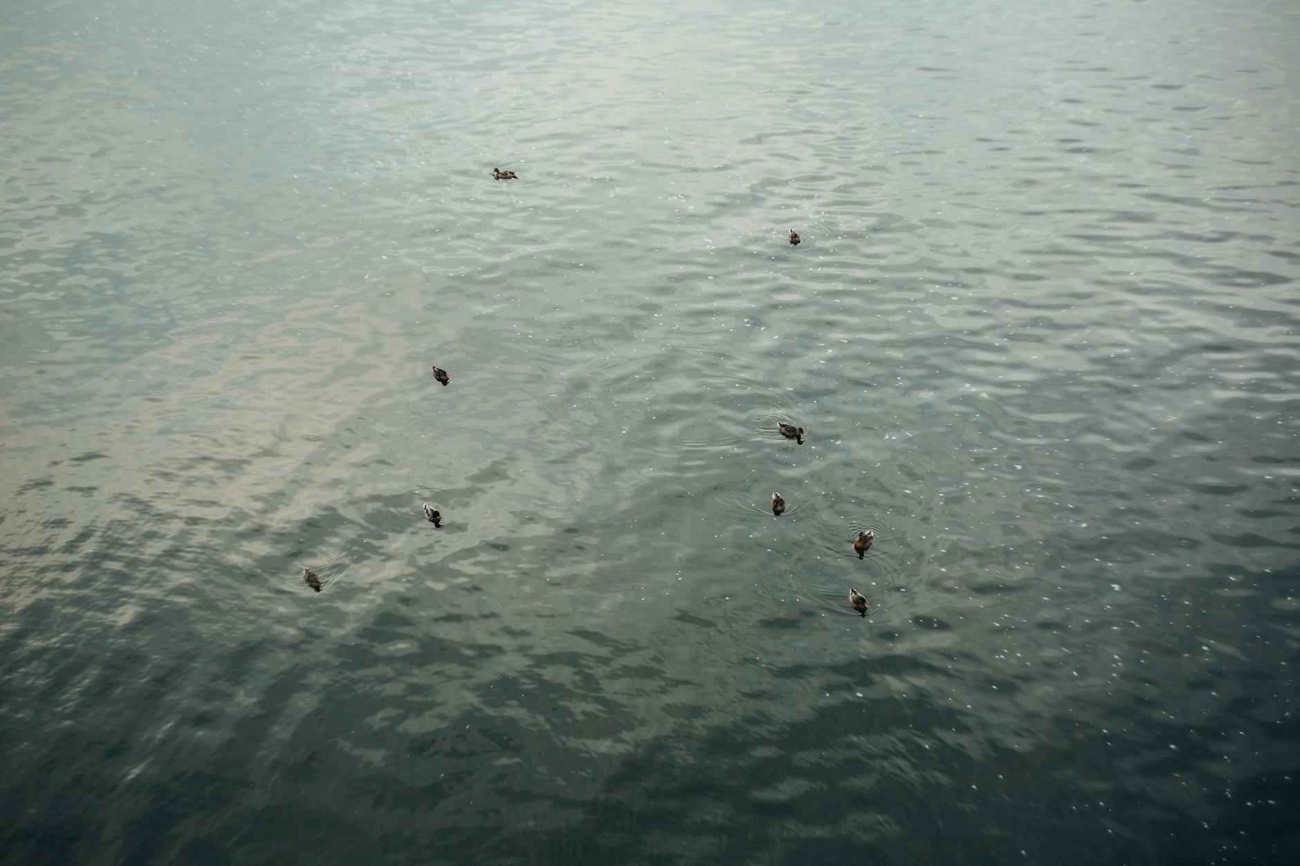 Ejemplos prácticos de uso de corchetes en redacciones