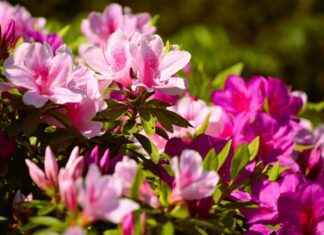 Iggy Azalea Perfil de OnlyFans – ¿Tiene fotos o videos filtrados? Iggy Azalea Perfil de OnlyFans – ¿Tiene fotos o videos filtrados? # Iggy Azalea Perfil de OnlyFans – ¿Tiene fotos o videos filtrados?