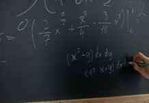 labisia – Beneficios de la planta labisia para la salud femenina