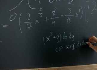 labisia – Beneficios de la planta labisia para la salud femenina labisia – Beneficios de la planta labisia para la salud femenina