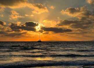 Filtraciones de Alineaciones de R.C.D. Mallorca contra Rayo Vallecano Filtraciones de Alineaciones de R.C.D. Mallorca contra Rayo Vallecano