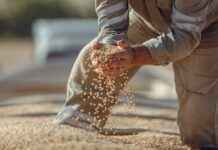 Liga De Béisbol De Panamá: Equipos, Calendario Y Resultados Recientes Liga De Béisbol De Panamá: Equipos, Calendario Y Resultados Recientes