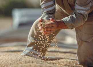 Liga De Béisbol De Panamá: Equipos, Calendario Y Resultados Recientes Liga De Béisbol De Panamá: Equipos, Calendario Y Resultados Recientes