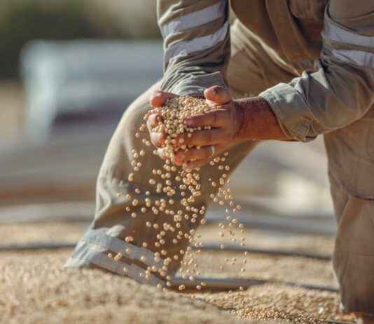 Liga De Béisbol De Panamá: Equipos, Calendario Y Resultados Recientes Liga De Béisbol De Panamá: Equipos, Calendario Y Resultados Recientes