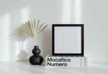 Lotto Y Pega 3 Panamá Resultados: Consulta Los Números Ganadores Del Día Lotto Y Pega 3 Panamá Resultados: Consulta Los Números Ganadores Del Día