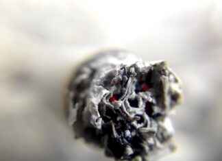 Marlboro Gold – ¿Qué hace a Marlboro Gold tan popular entre los fumadores? Marlboro Gold – ¿Qué hace a Marlboro Gold tan popular entre los fumadores?