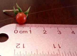 micro cellular rubber – Qué es el micro cellular rubber y por qué es popular en productos tecnológicos micro cellular rubber – Qué es el micro cellular rubber y por qué es popular en productos tecnológicos