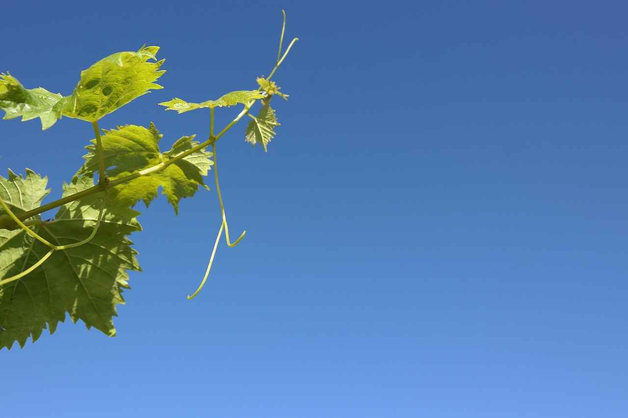 ¿Cómo se fabrican las muñecas reborn?