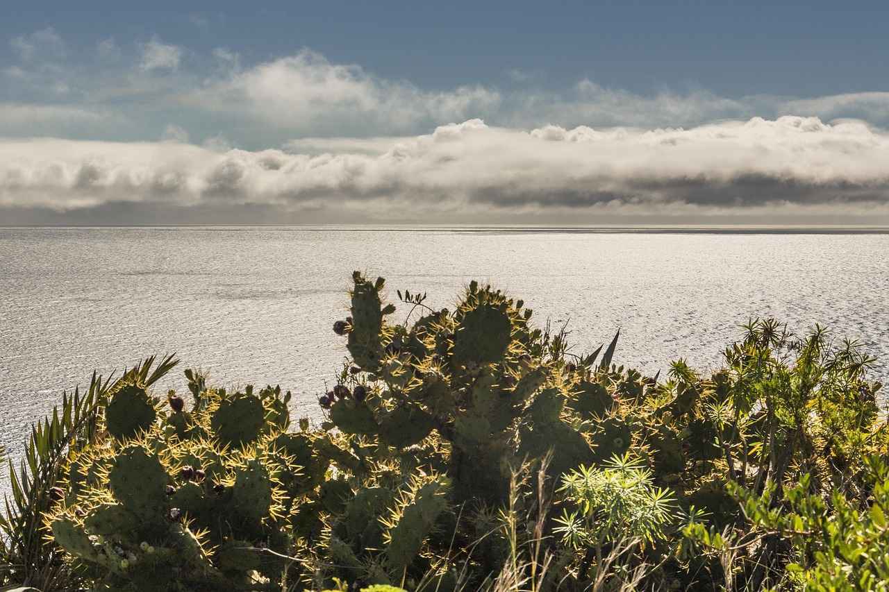 ¿Cuáles son las estadísticas clave de U. D. Las Palmas contra Sevilla FC?