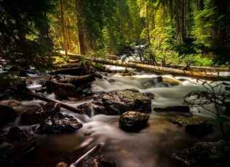 Papaya Series – Alternativas Seguras y Legales para Ver Series Online Papaya Series – Alternativas Seguras y Legales para Ver Series Online