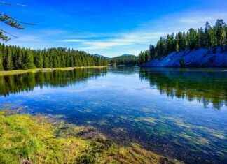 papayaseries – Accede gratis a cientos de series sin registros ni límites papayaseries – Accede gratis a cientos de series sin registros ni límites