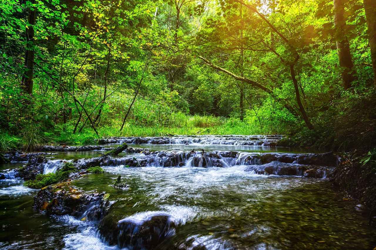 ¿Cuáles son las mejores series disponibles en papayaseries?