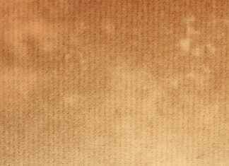 papel celofan – ¿Por qué usar papel celofán en tus empaques y decoraciones? papel celofan – ¿Por qué usar papel celofán en tus empaques y decoraciones?