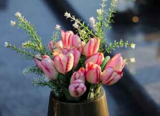 Piedra Artificial – Ventajas de Usar Piedra Artificial en la Construcción y Decoración de Interiores Piedra Artificial – Ventajas de Usar Piedra Artificial en la Construcción y Decoración de Interiores