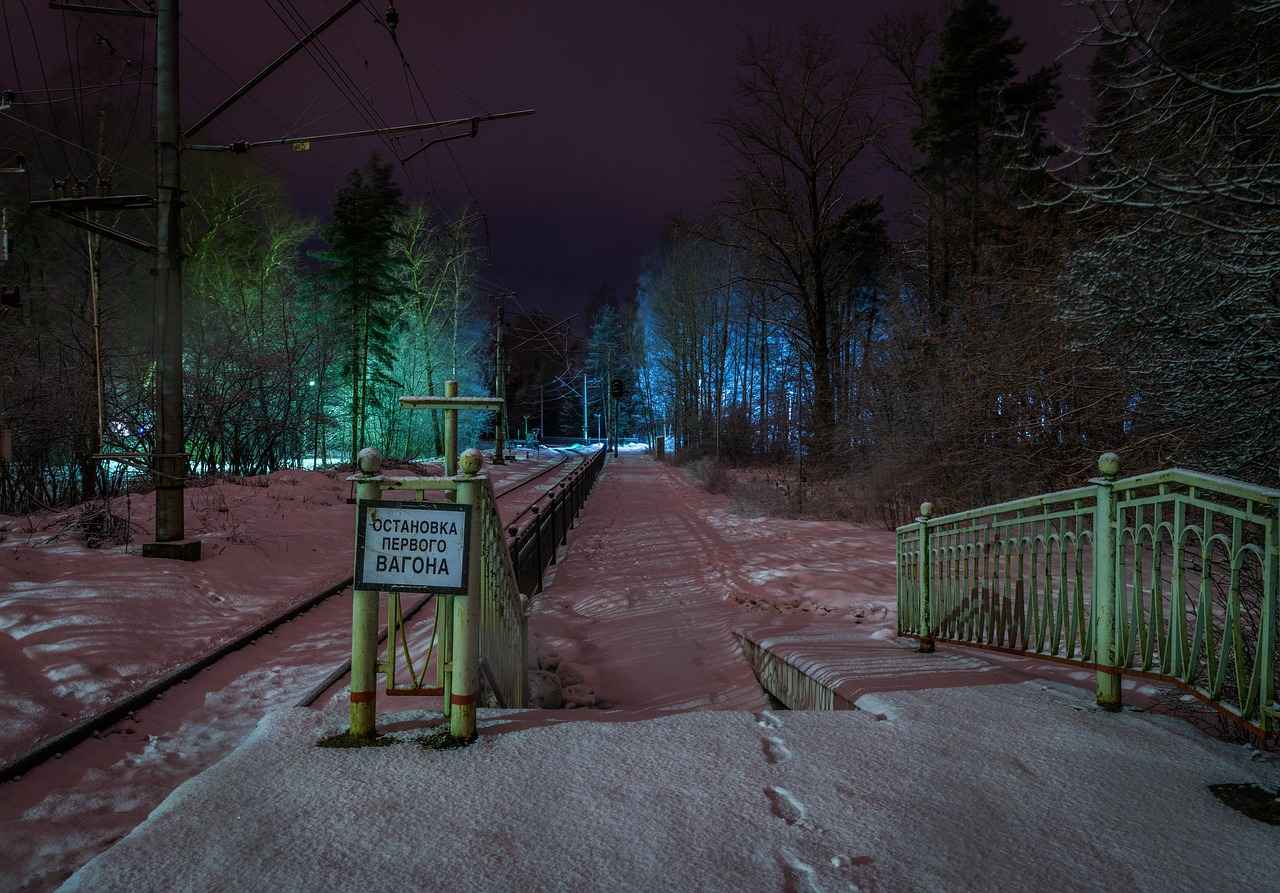 ¿Cómo elegir la mejor plataforma semipresencial para adultos?