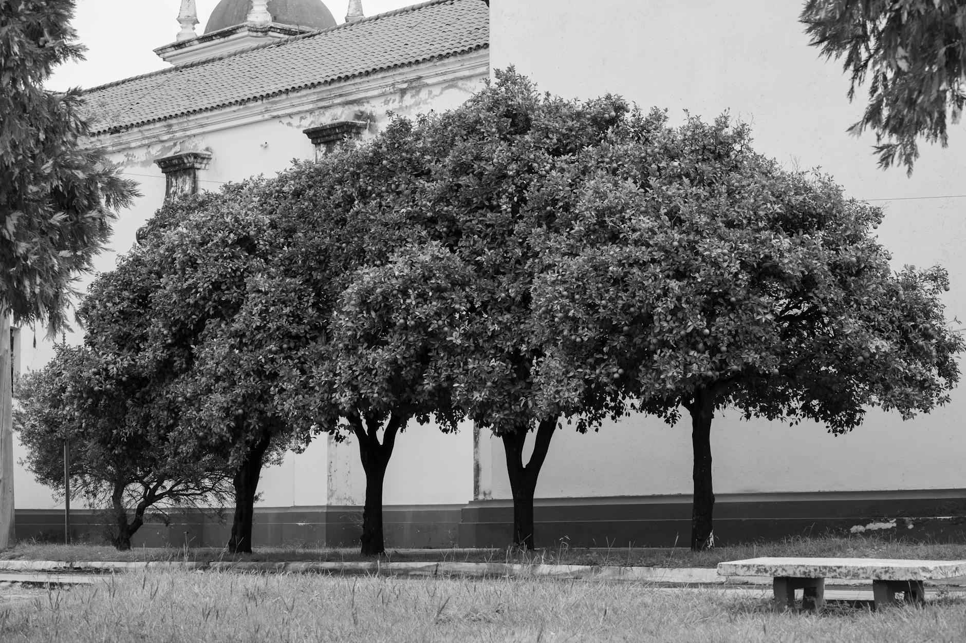 Rendimiento Reciente del Córdoba CF